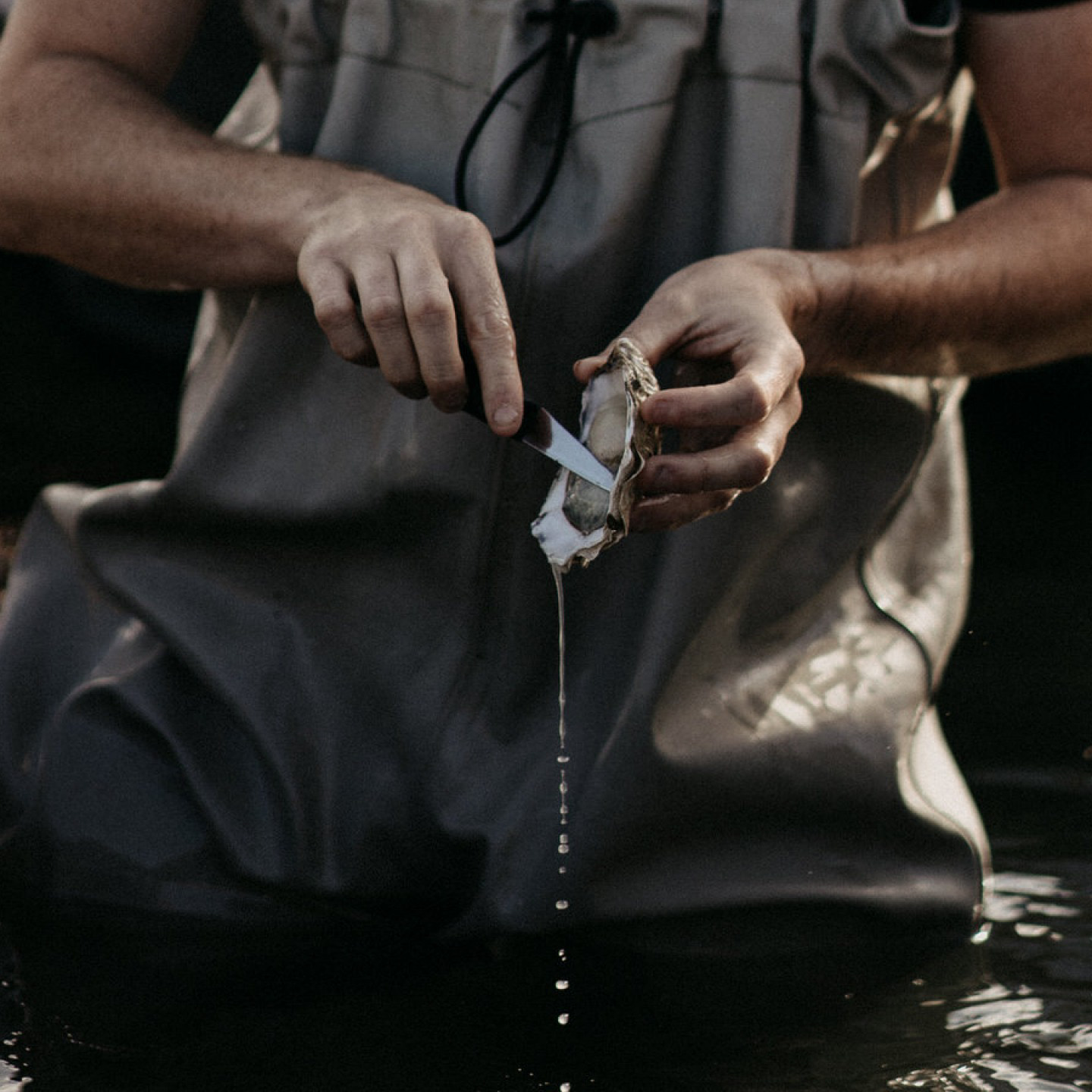 Welkom bij Wine Experience Amsterdam